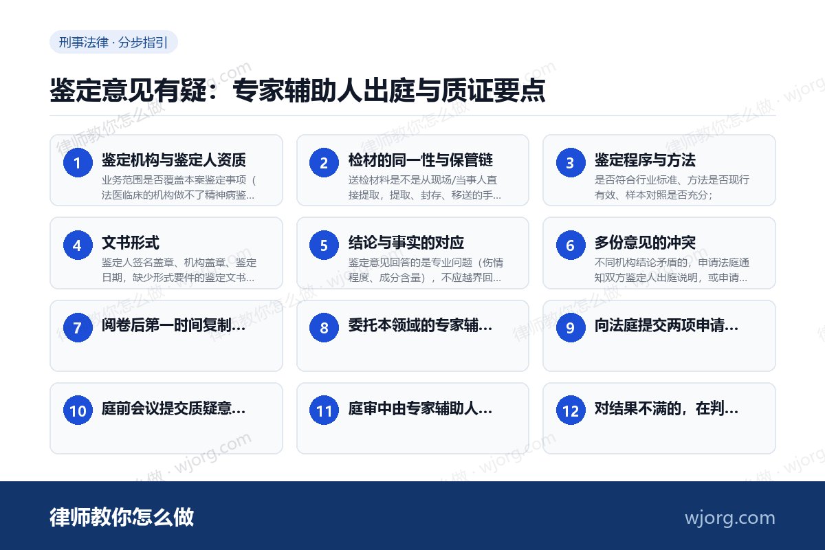 鉴定意见有疑：专家辅助人出庭与质：12 步办理流程示意图