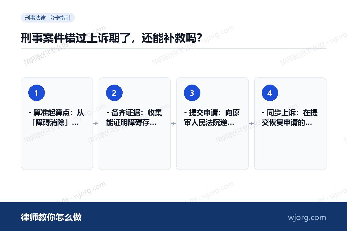 刑事案件错过上诉期了,还能补救吗? 刑事案件错过上诉期了,还能补救吗:4 步办理流程示意图