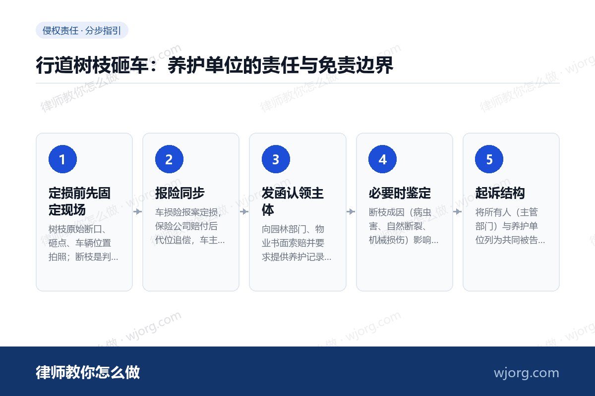 行道树枝砸车:养护单位的责任与免责边界 行道树枝砸车:养护单位的责任与免:5 步办理流程示意图